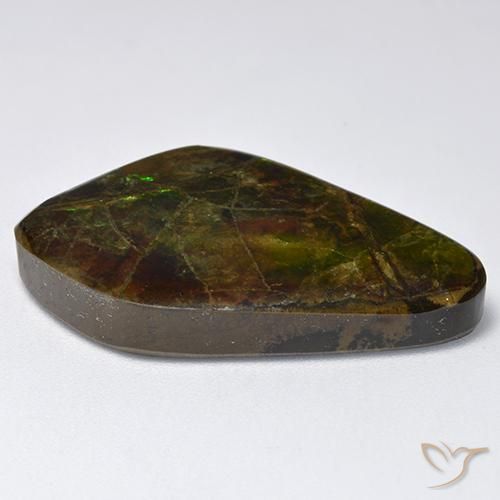 Ammolite Multicolore naturelle Fantaisie, 19.12 ct, Opaque