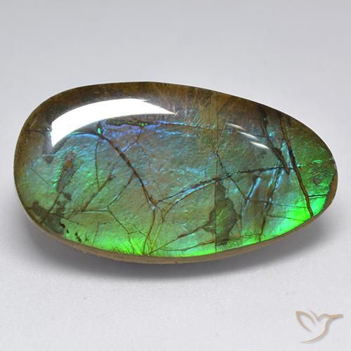 Ammolite Multicolore naturelle Fantaisie, 18.04 ct, Opaque