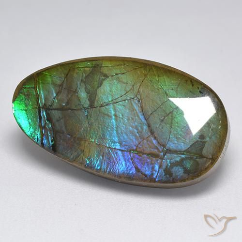 Ammolite Multicolore naturelle Fantaisie, 18.04 ct, Opaque
