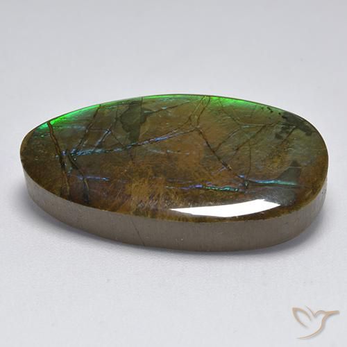 Ammolite Multicolore naturelle Fantaisie, 18.04 ct, Opaque