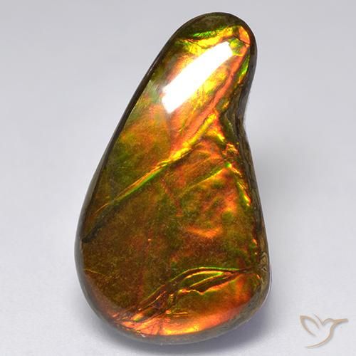 Ammolite Multicolore naturelle Fantaisie, 13.11 ct, Opaque