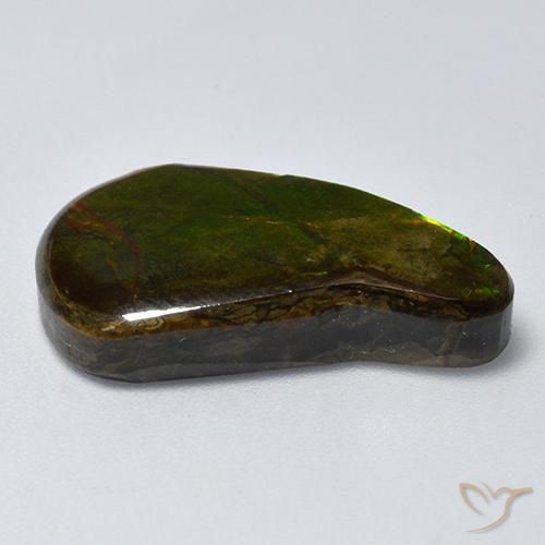 Ammolite Multicolore naturelle Fantaisie, 13.11 ct, Opaque