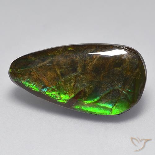 Ammolite Multicolore naturelle Fantaisie, 10.04 ct, Opaque