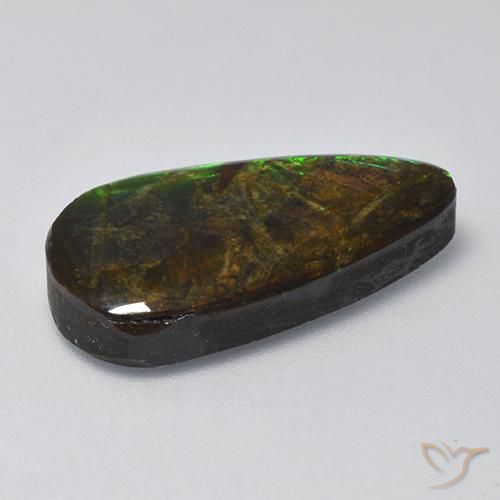 Ammolite Multicolore naturelle Fantaisie, 10.04 ct, Opaque