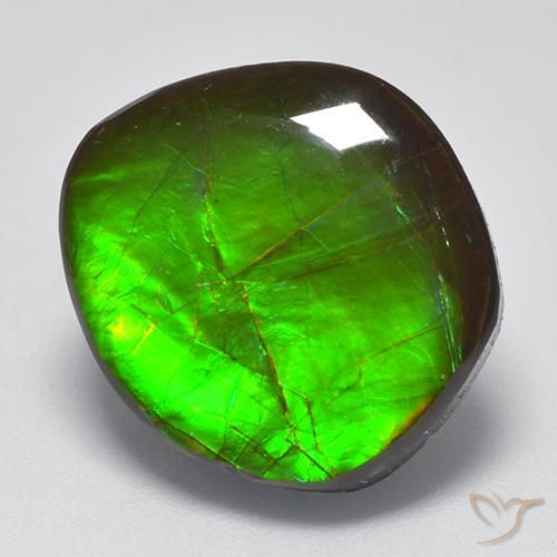 Ammolite Multicolore naturelle Fantaisie, 10.26 ct, Opaque