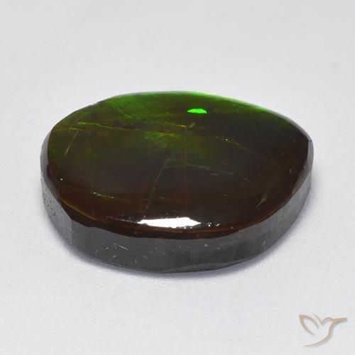 Ammolite Multicolore naturelle Fantaisie, 10.26 ct, Opaque