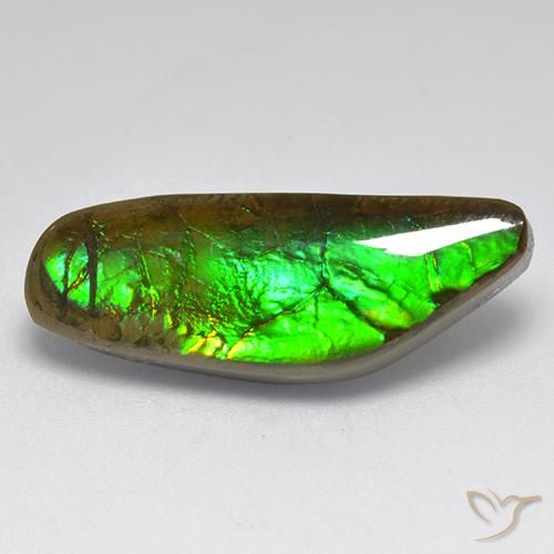 9.60ct Naturel Multicolore Ammolite, Fantaisie, Opaque
