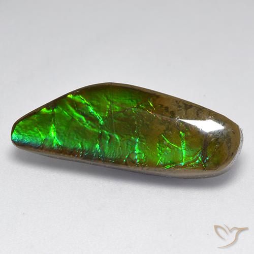 Ammolite Multicolore naturelle Fantaisie, 9.60 ct, Opaque