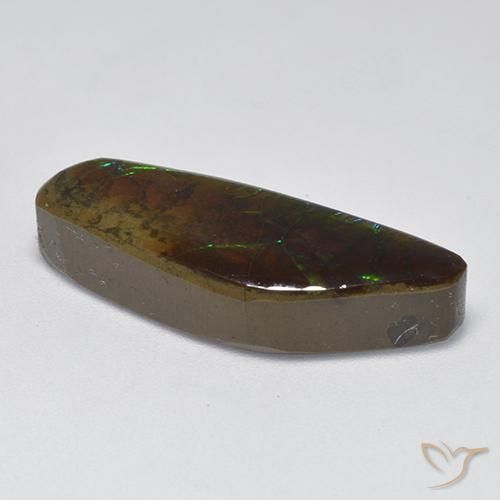 Ammolite Multicolore naturelle Fantaisie, 9.60 ct, Opaque