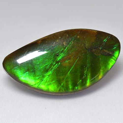 Ammolite multicolore naturelle forme fantaisie, 20,84 ct, opaque