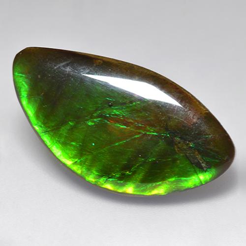 Ammolite multicolore naturelle forme fantaisie, 20,84 ct, opaque