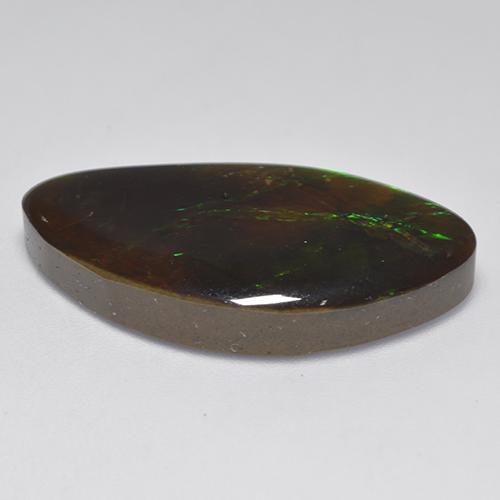 Ammolite multicolore naturelle forme fantaisie, 20,84 ct, opaque