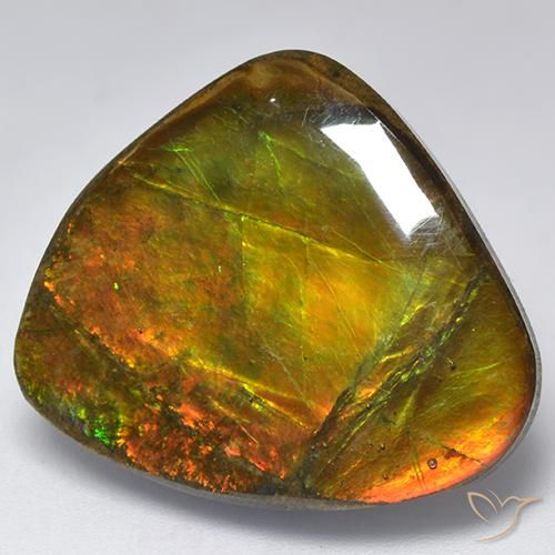 Ammolite Multicolore naturelle Fantaisie, 18.32 ct, Opaque