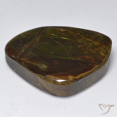 Ammolite Multicolore naturelle Fantaisie, 18.32 ct, Opaque