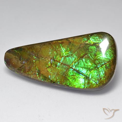 Ammolite Multicolore naturelle Fantaisie, 23.60 ct, Opaque