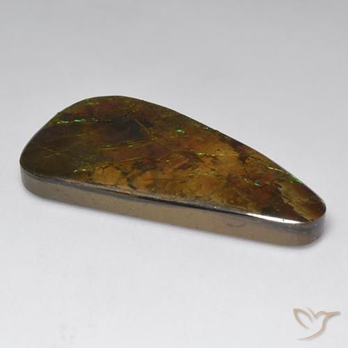 Ammolite Multicolore naturelle Fantaisie, 23.60 ct, Opaque