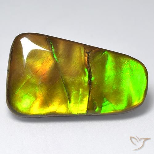 Ammolite Multicolore naturelle Fantaisie, 18.48 ct, Opaque