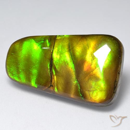 Ammolite Multicolore naturelle Fantaisie, 18.48 ct, Opaque