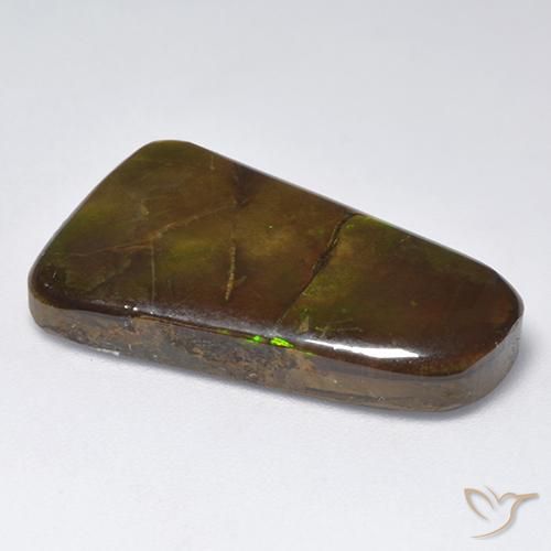 Ammolite Multicolore naturelle Fantaisie, 18.48 ct, Opaque