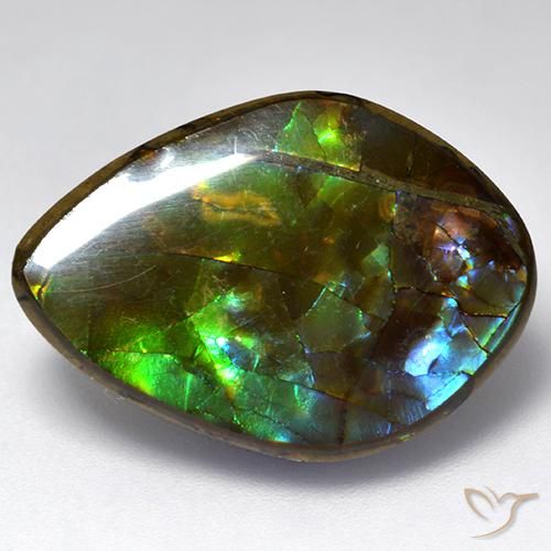 Ammolite Multicolore naturelle Fantaisie, 13.64 ct, Opaque