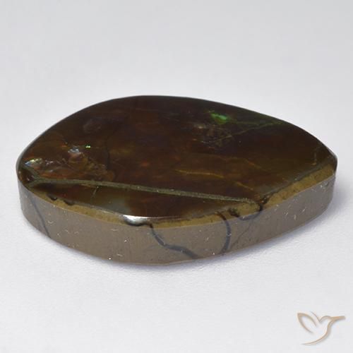 Ammolite Multicolore naturelle Fantaisie, 13.64 ct, Opaque