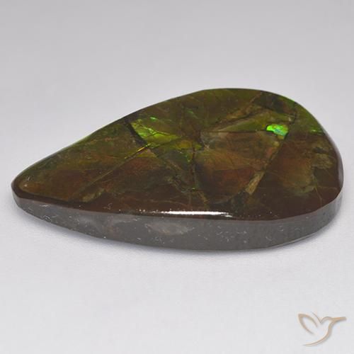 Ammolite Multicolore naturelle Fantaisie, 23.14 ct, Opaque