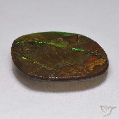 Ammolite Multicolore naturelle Fantaisie, 19.23 ct, Opaque
