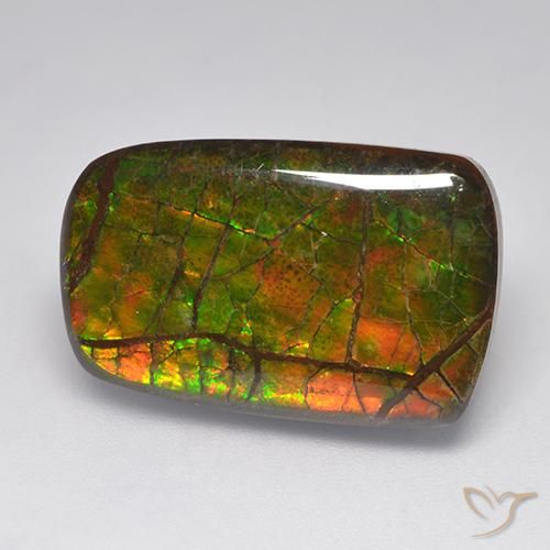 Ammolite Multicolore naturelle Fantaisie, 15.22 ct, Opaque