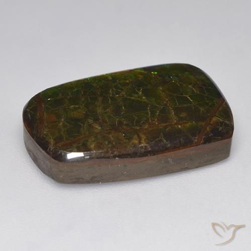 Ammolite Multicolore naturelle Fantaisie, 15.22 ct, Opaque