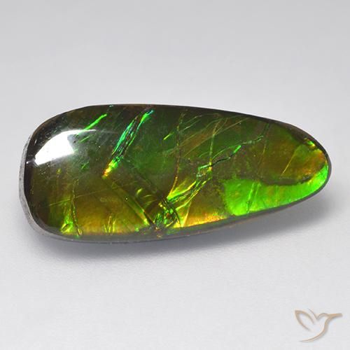 Ammolite Multicolore naturelle Fantaisie, 9.58 ct, Opaque