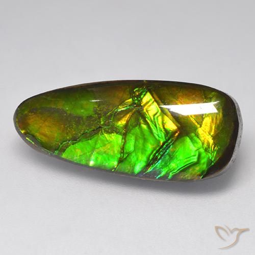 Ammolite Multicolore naturelle Fantaisie, 9.58 ct, Opaque