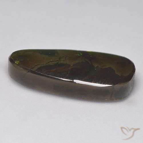 Ammolite Multicolore naturelle Fantaisie, 9.58 ct, Opaque