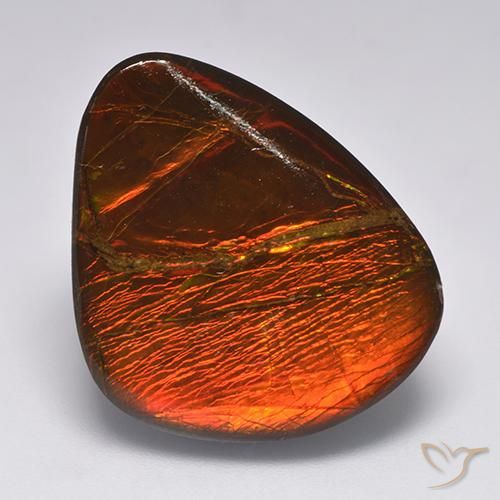 Ammolite Multicolore naturelle Fantaisie, 22.11 ct, Opaque
