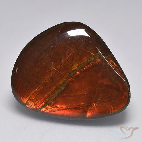 Ammolite Multicolore naturelle Fantaisie, 22.11 ct, Opaque