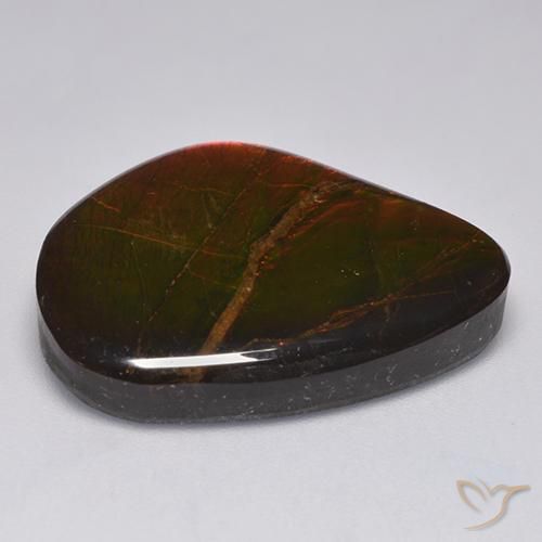 Ammolite Multicolore naturelle Fantaisie, 22.11 ct, Opaque