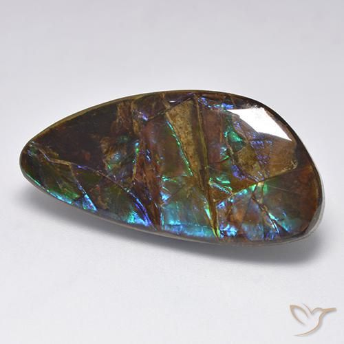 Ammolite Multicolore naturelle Fantaisie, 19.90 ct, Opaque