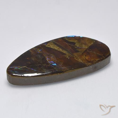 Ammolite Multicolore naturelle Fantaisie, 19.90 ct, Opaque