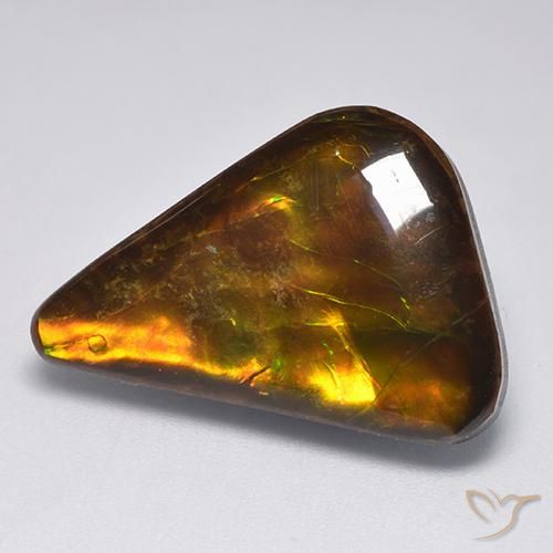 Ammolite Multicolore naturelle Fantaisie, 14.34 ct, Opaque