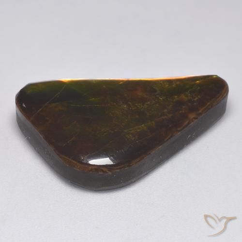 Ammolite Multicolore naturelle Fantaisie, 14.34 ct, Opaque