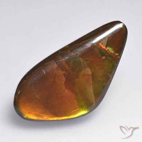 Ammolite Multicolore naturelle Fantaisie, 13.86 ct, Opaque