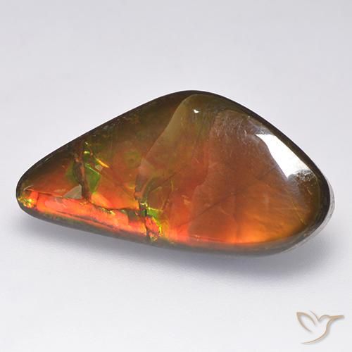 Ammolite Multicolore naturelle Fantaisie, 13.86 ct, Opaque