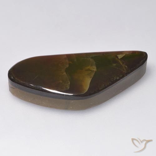 Ammolite Multicolore naturelle Fantaisie, 13.86 ct, Opaque