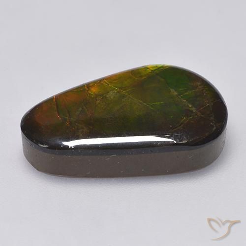 Ammolite Multicolore naturelle Fantaisie, 12.85 ct, Opaque