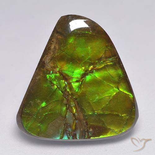 Ammolite Multicolore naturelle Fantaisie, 17.90 ct, Opaque