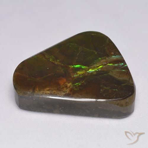 Ammolite Multicolore naturelle Fantaisie, 17.90 ct, Opaque