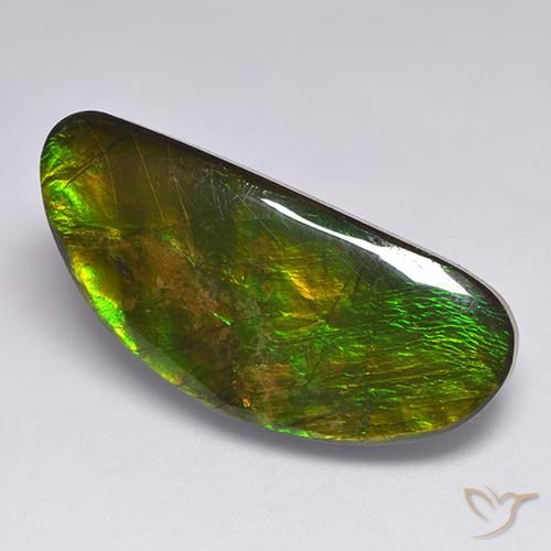 18.57ct Naturel Multicolore Ammolite, Fantaisie, Opaque