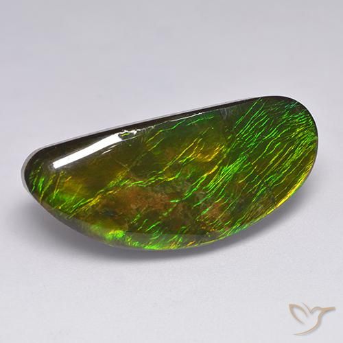 Ammolite Multicolore naturelle Fantaisie, 18.57 ct, Opaque