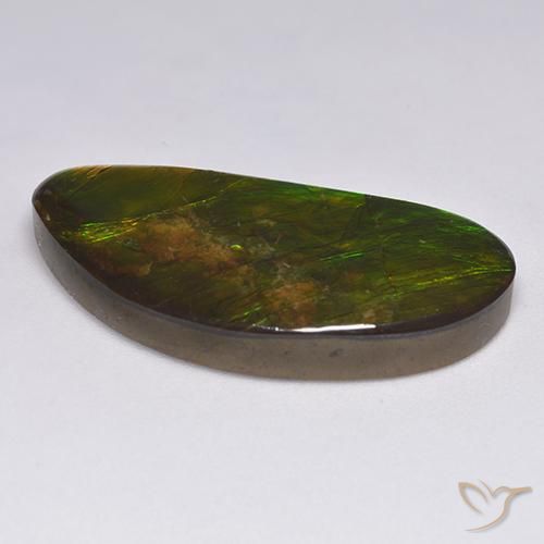 Ammolite Multicolore naturelle Fantaisie, 18.57 ct, Opaque