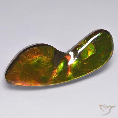 Ammolite Multicolore naturelle Fantaisie, 24.54 ct, Opaque