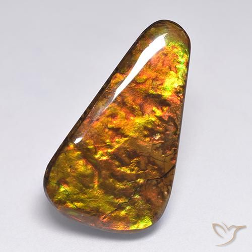 Ammolite Multicolore naturelle Fantaisie, 18.34 ct, Opaque